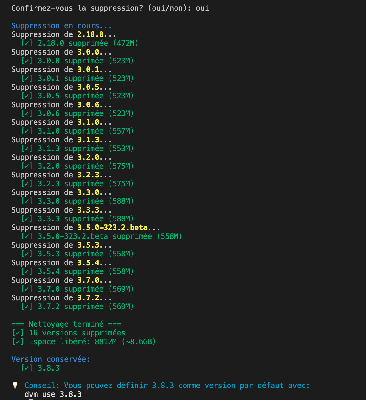 DVM cleanup completion showing 16 versions removed and 8.6GB reclaimed(content in french)