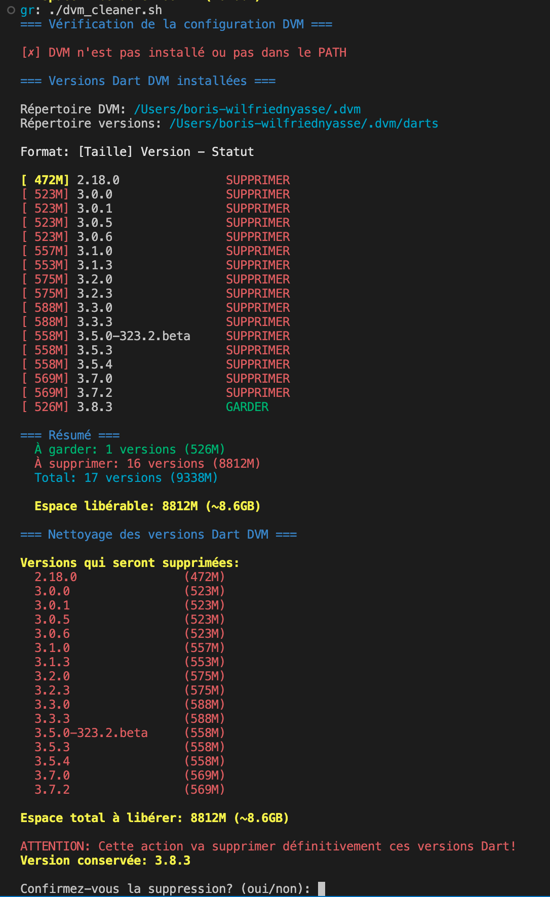 DVM analysis showing 17 Dart versions with sizes and cleanup strategy(content in french)