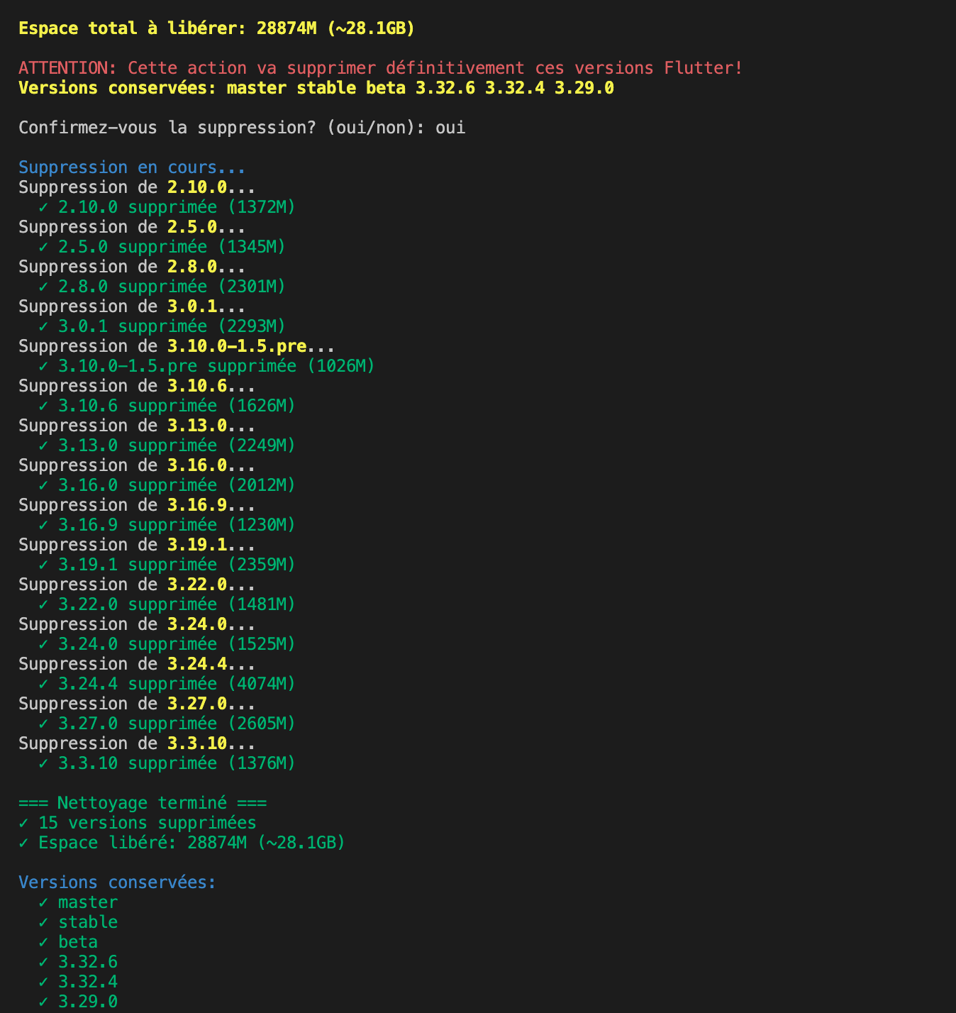 FVM cleanup results showing 15 versions removed and 28GB reclaimed(content in French)